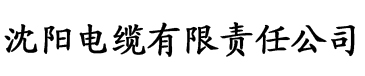 考橙app电缆厂logo